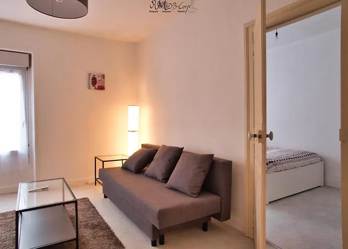 Hypercentre Au 2ème, Zoo - 24h Du Mans *