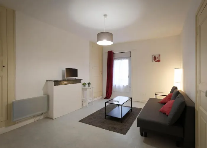 Appartamento Hypercentre Au 2ème, Zoo - 24h Du Mans La Flèche